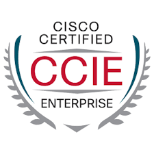 Pass CCIE Enterprise Infrastructure / Routing & Switching Certification Exam With Our Training