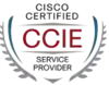Pass CCIE Service Provider Certification Exam With Our Training