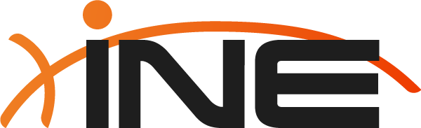 INE Security